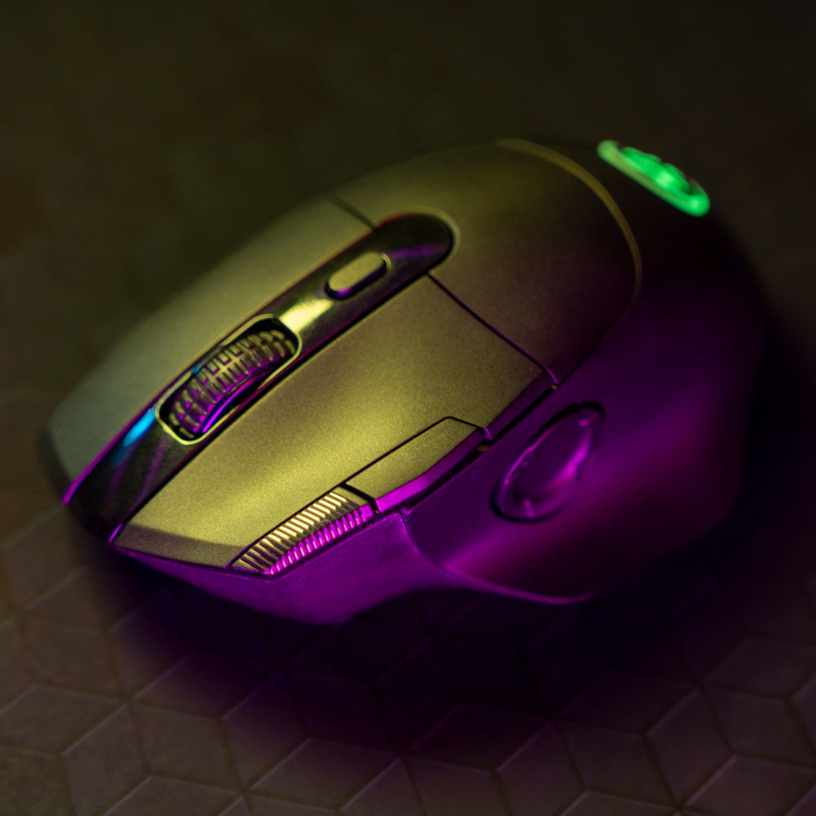 Daybreak bundle, black